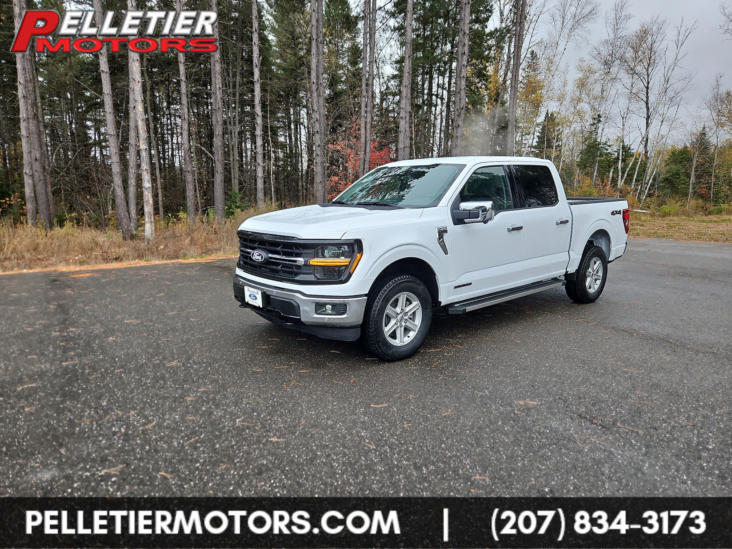 2025 Ford F-150 XLT's photo