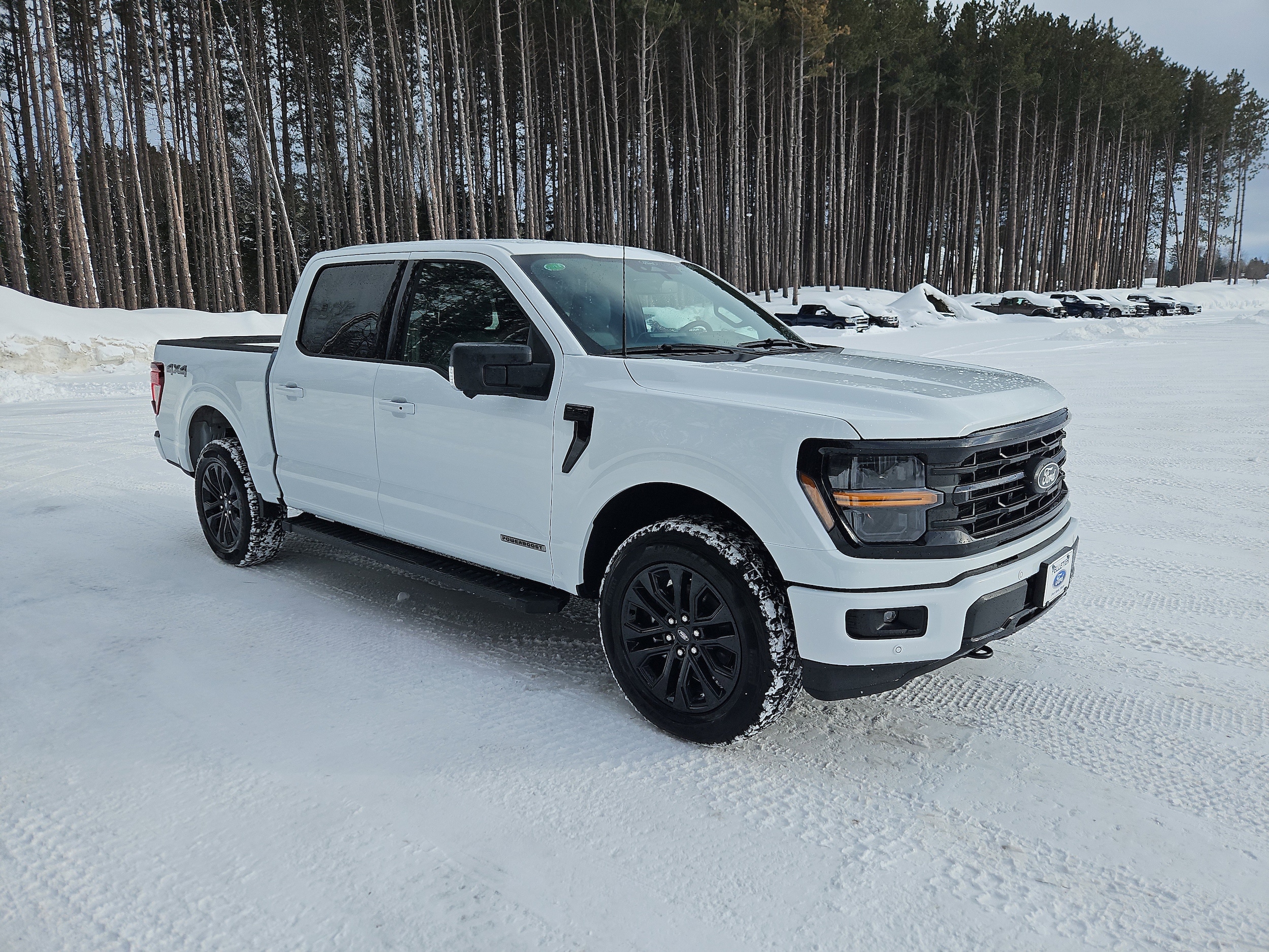 2025 Ford F-150 XLT - Photo 7