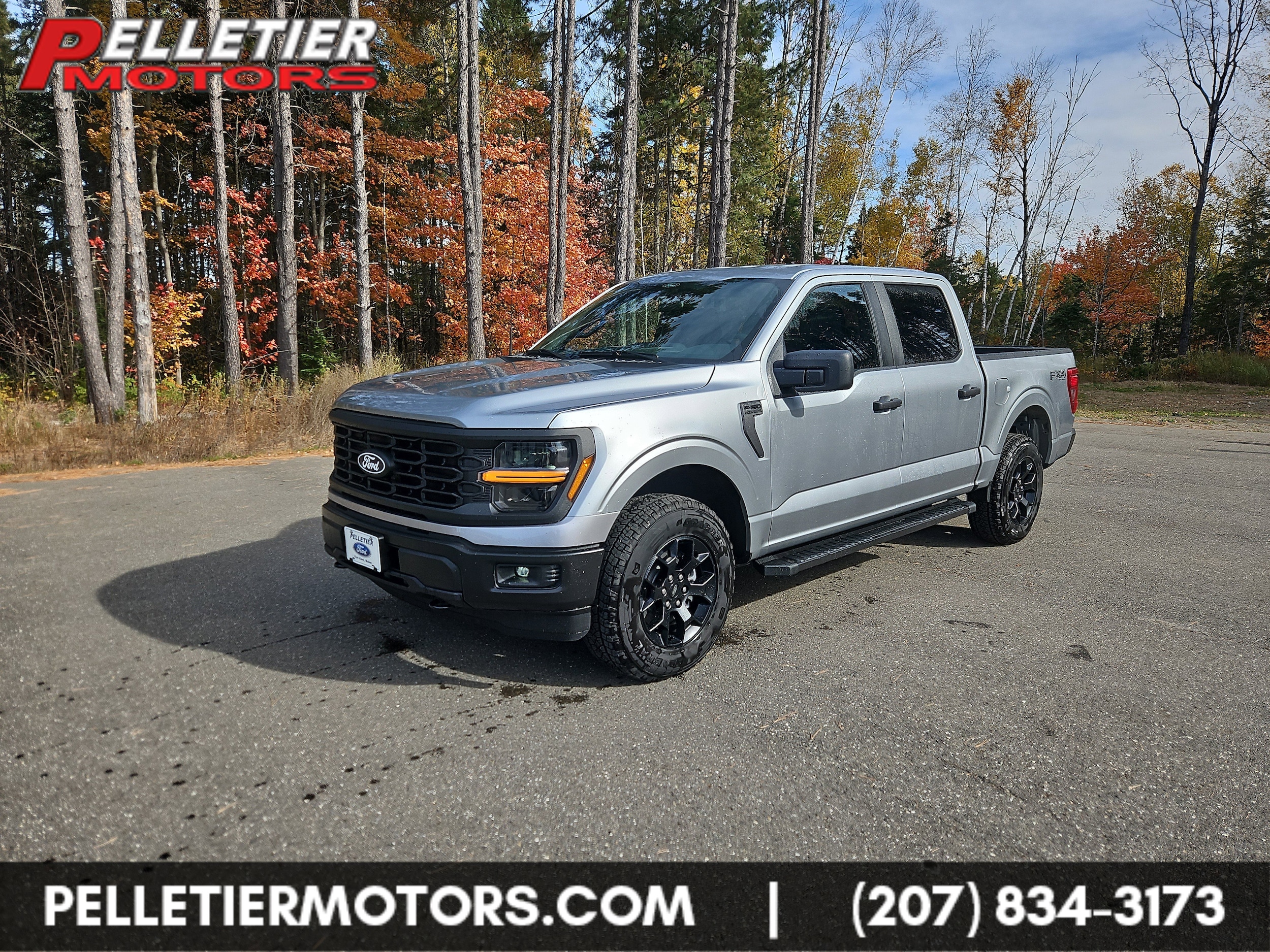 2025 Ford F-150 STX's photo