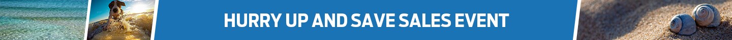 hurry-up-and-save-pelletier-ford-summer-2019.jpg