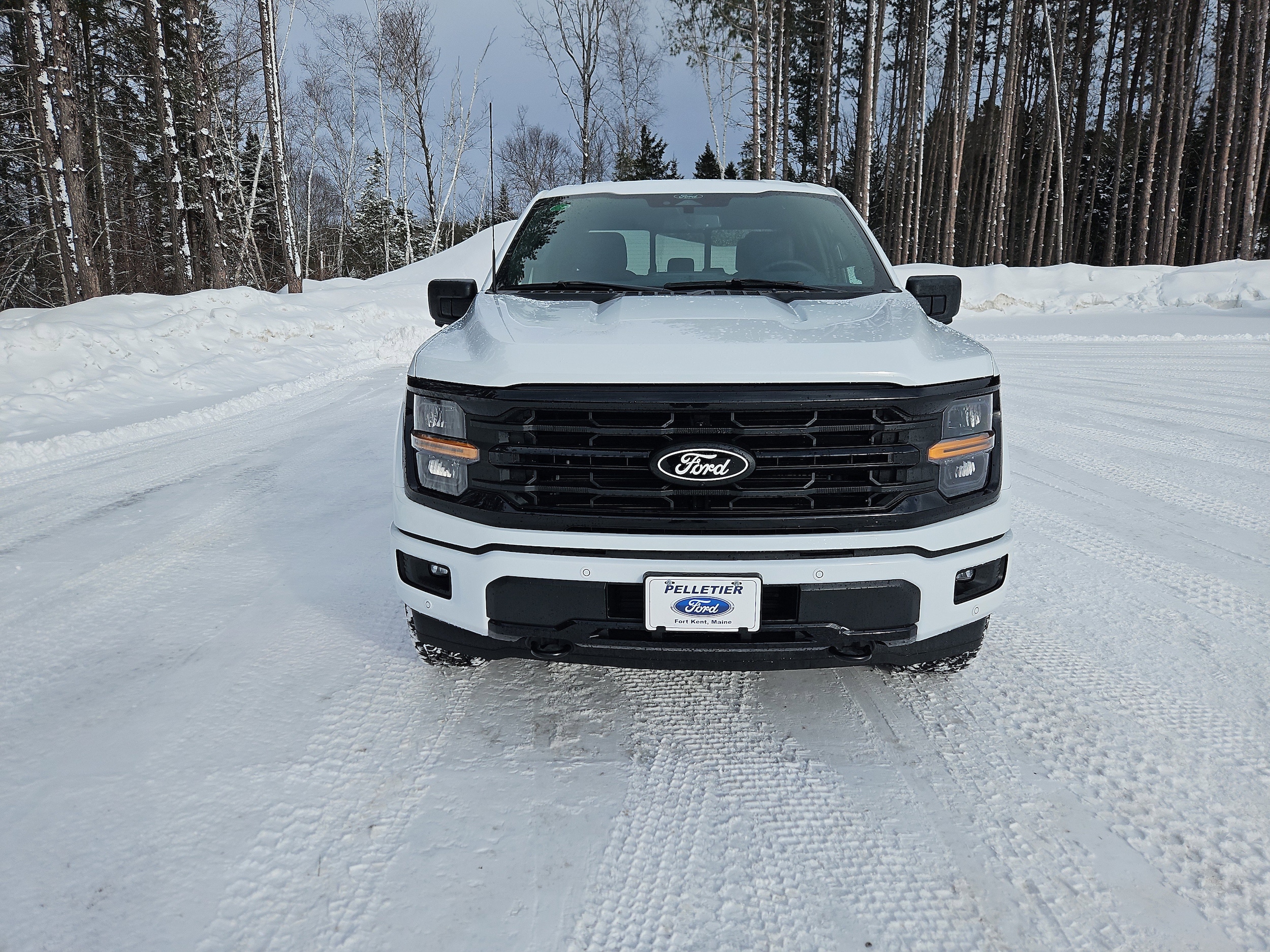 2025 Ford F-150 XLT - Photo 8