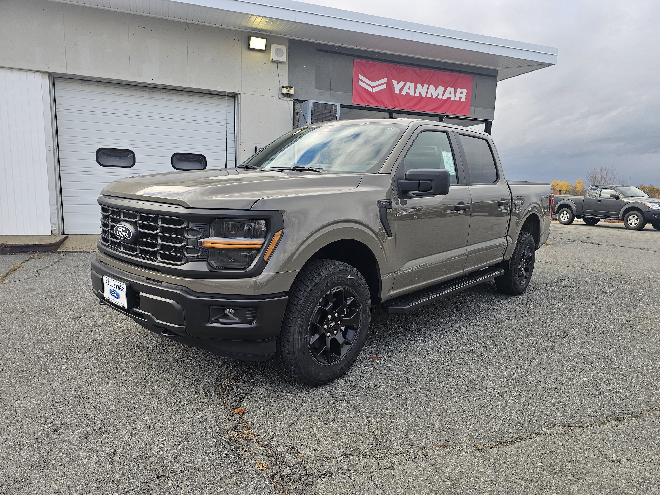 2025 Ford F-150 STX's photo