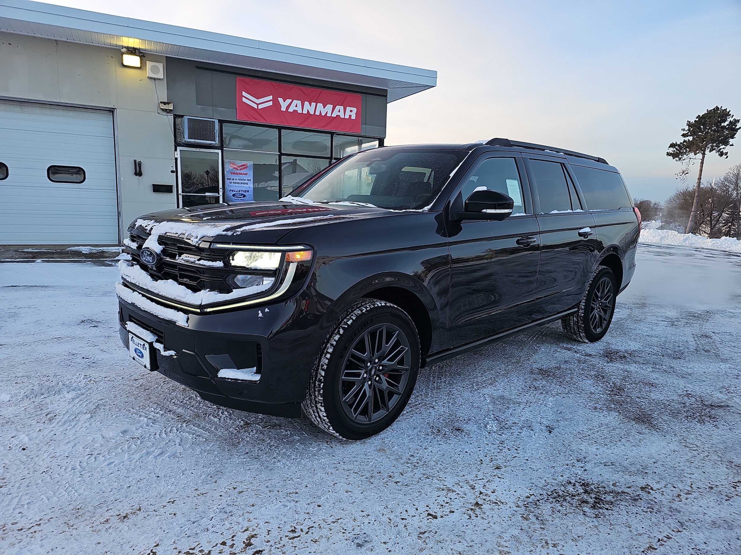 2025 Ford Expedition Platinum's photo