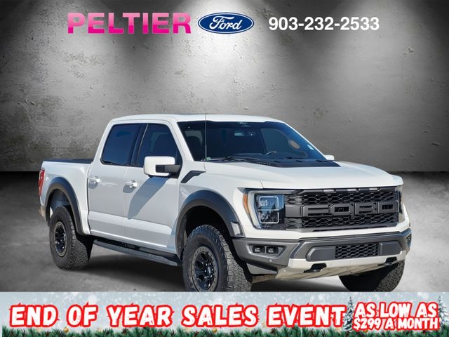 2022 Ford F-150 Raptor's photo