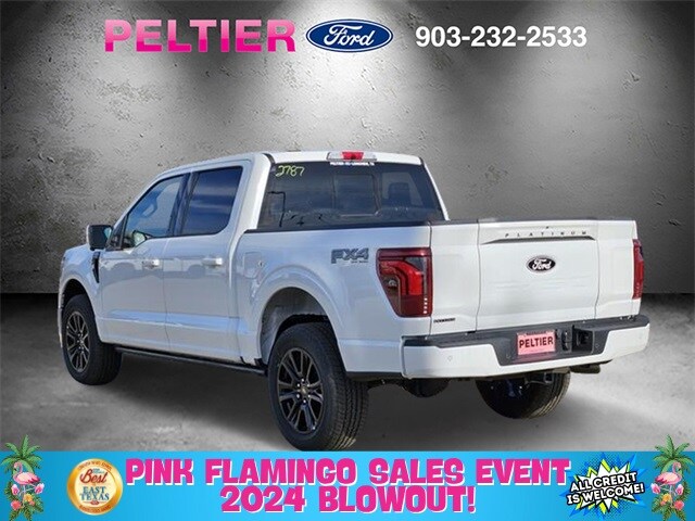 2024 Ford F-150 Platinum photo 3