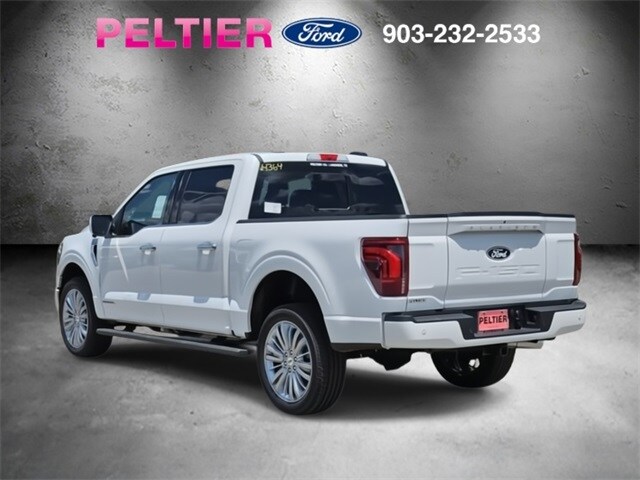 2025 Ford F-150 Platinum photo 3