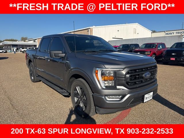2023 Ford F-150 XLT's photo