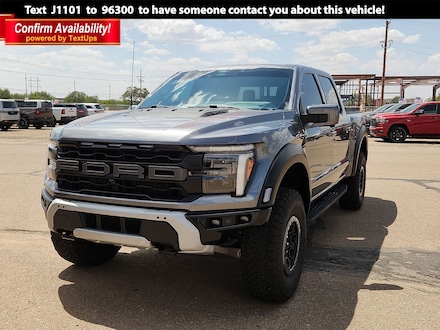 2024 Ford F-150 Raptor Truck