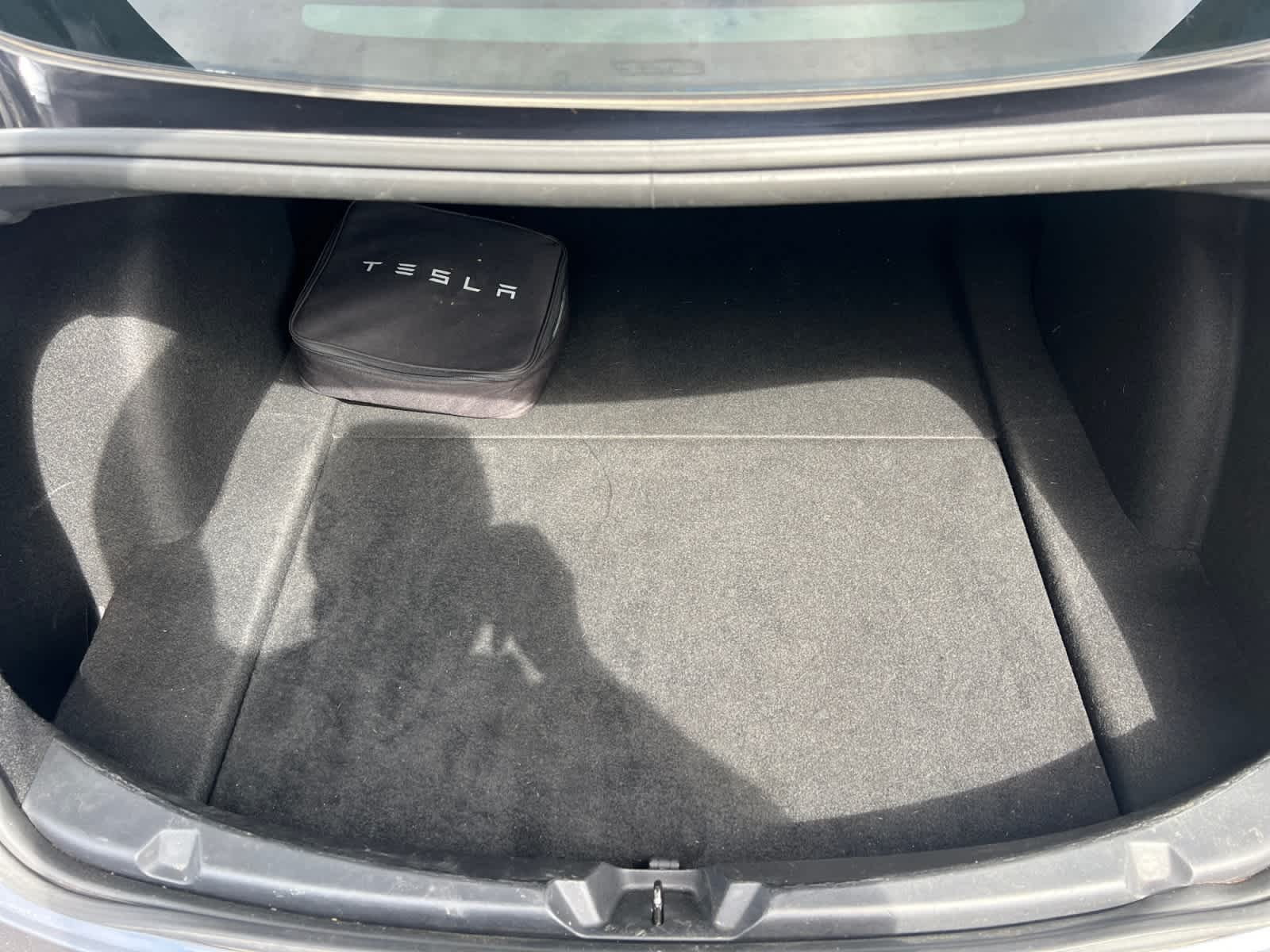 2020 Tesla Model 3 Standard Range photo 2