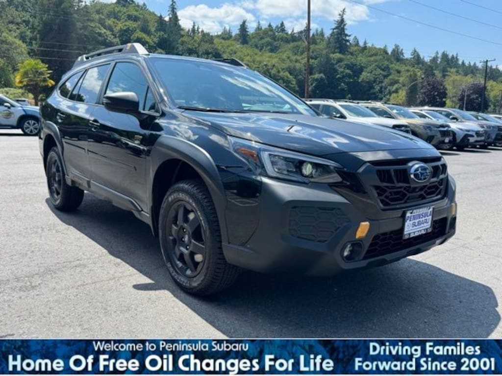 New 2025 Subaru Outback Wilderness SUV