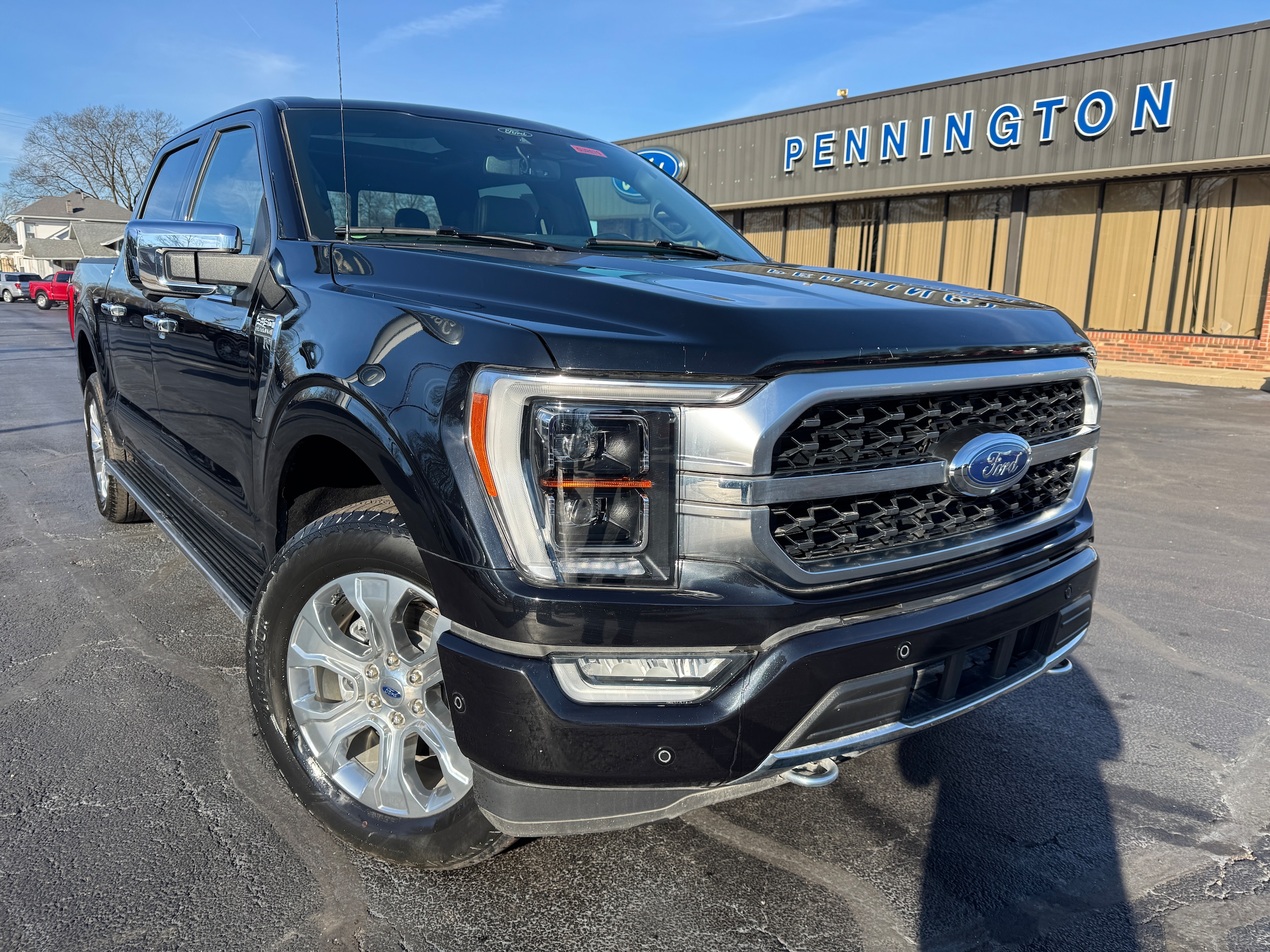 2021 Ford F-150 Platinum's photo