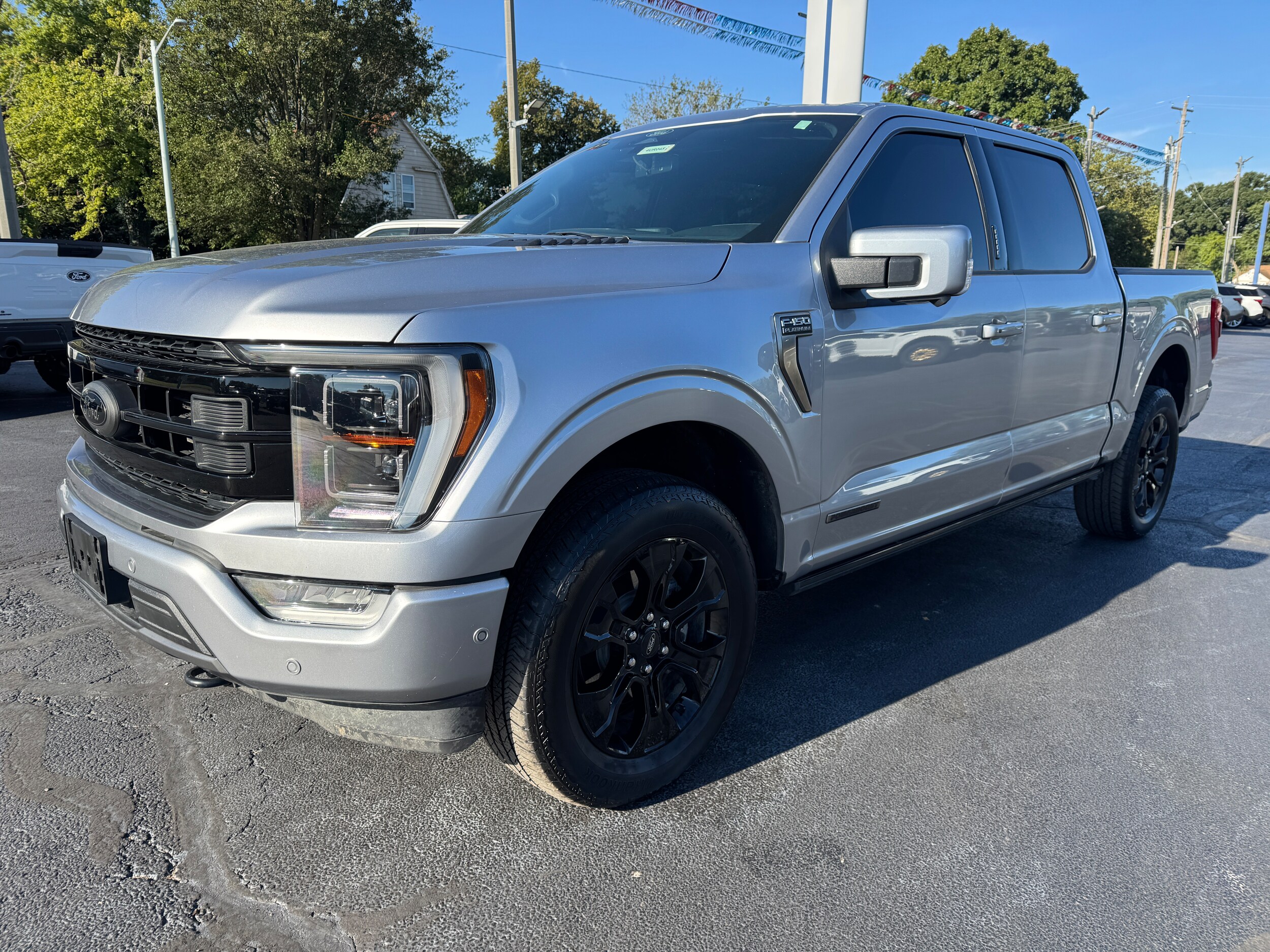 2022 Ford F-150 Platinum photo 3