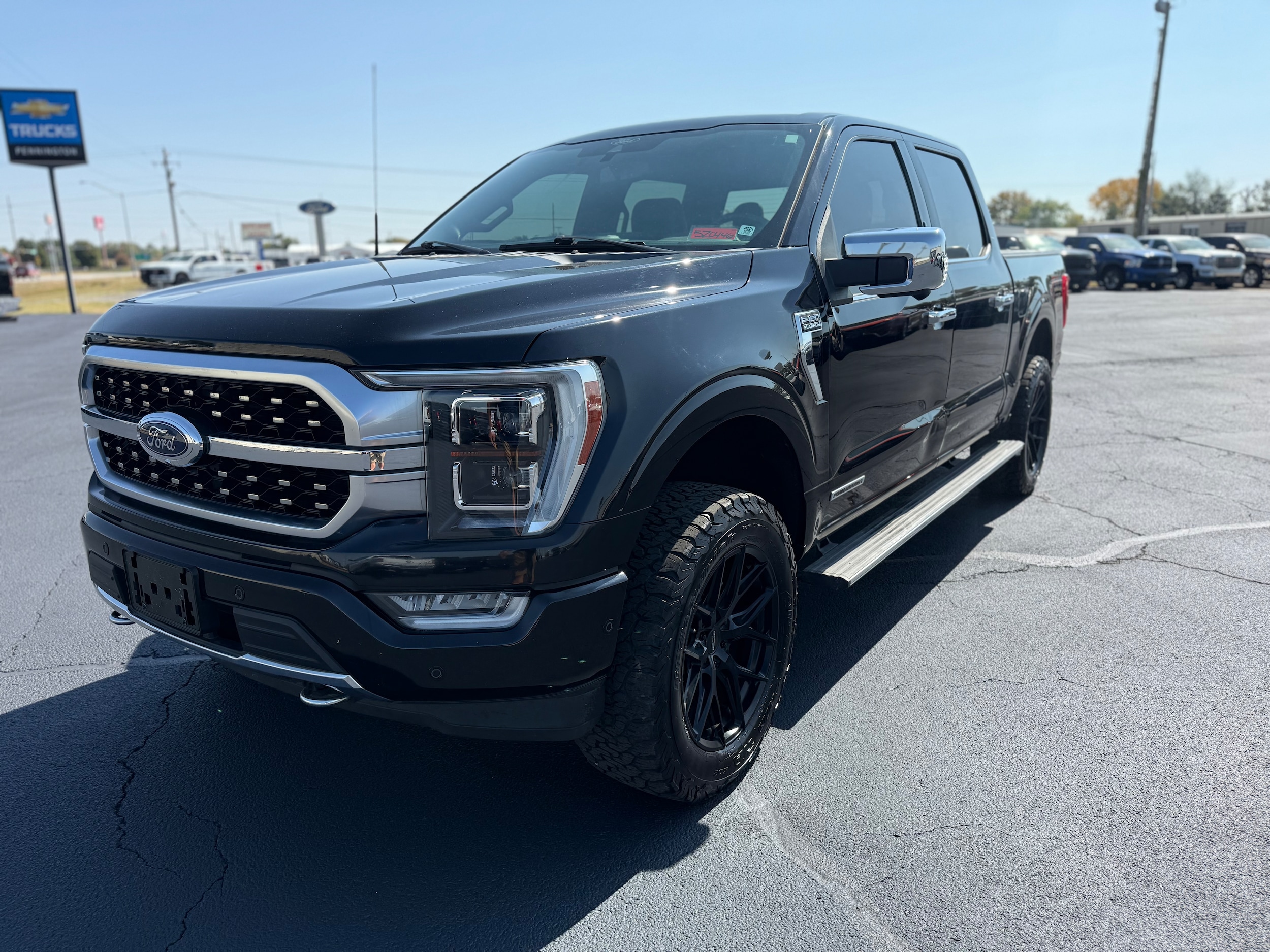 2021 Ford F-150 Platinum's photo