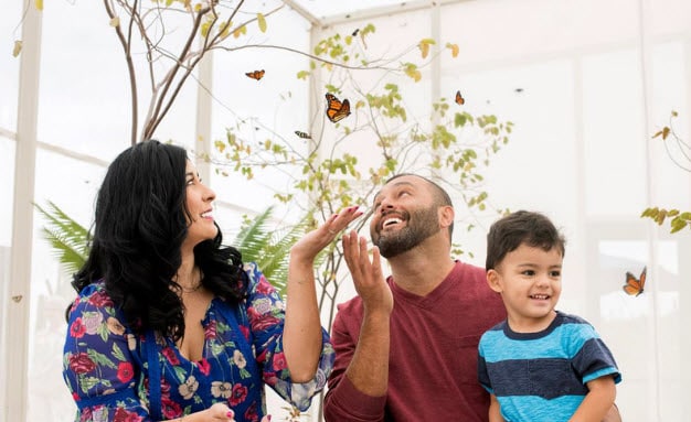 Fall Butterfly Exhibit