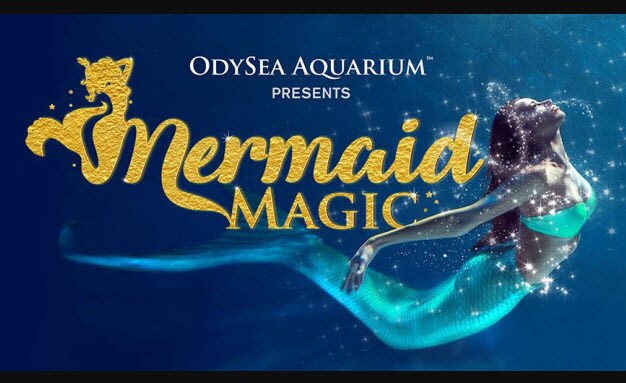 OdySea Aquarium - Mermaid Magic
