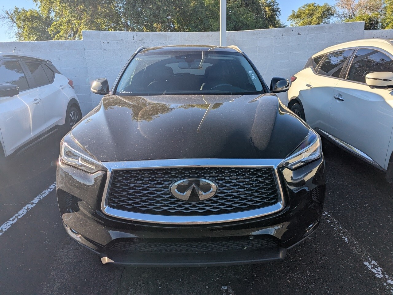 2022 Infiniti QX50 Essential photo 2