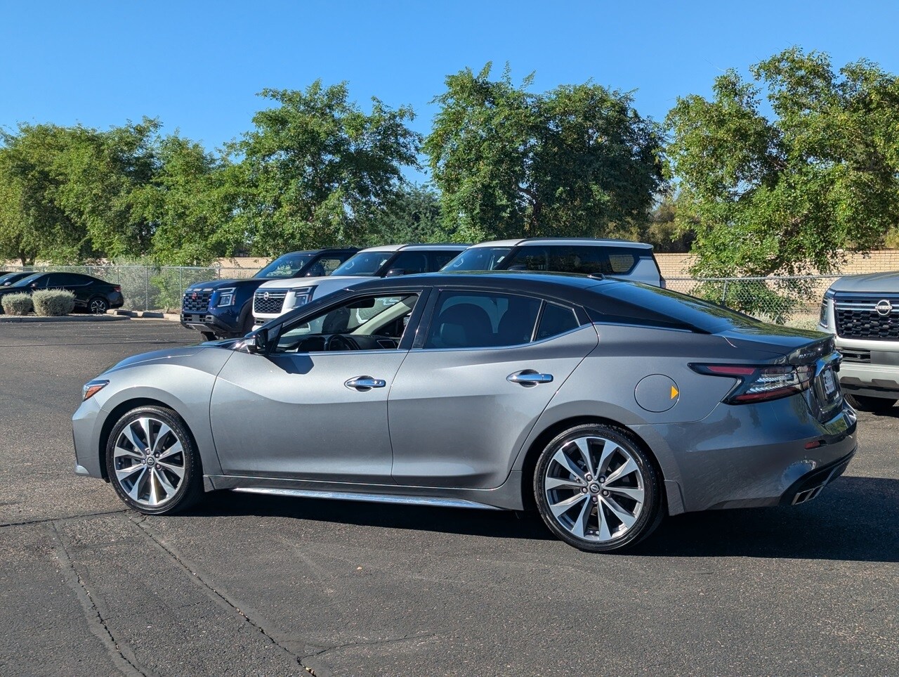 2023 Nissan Maxima Platinum photo 4