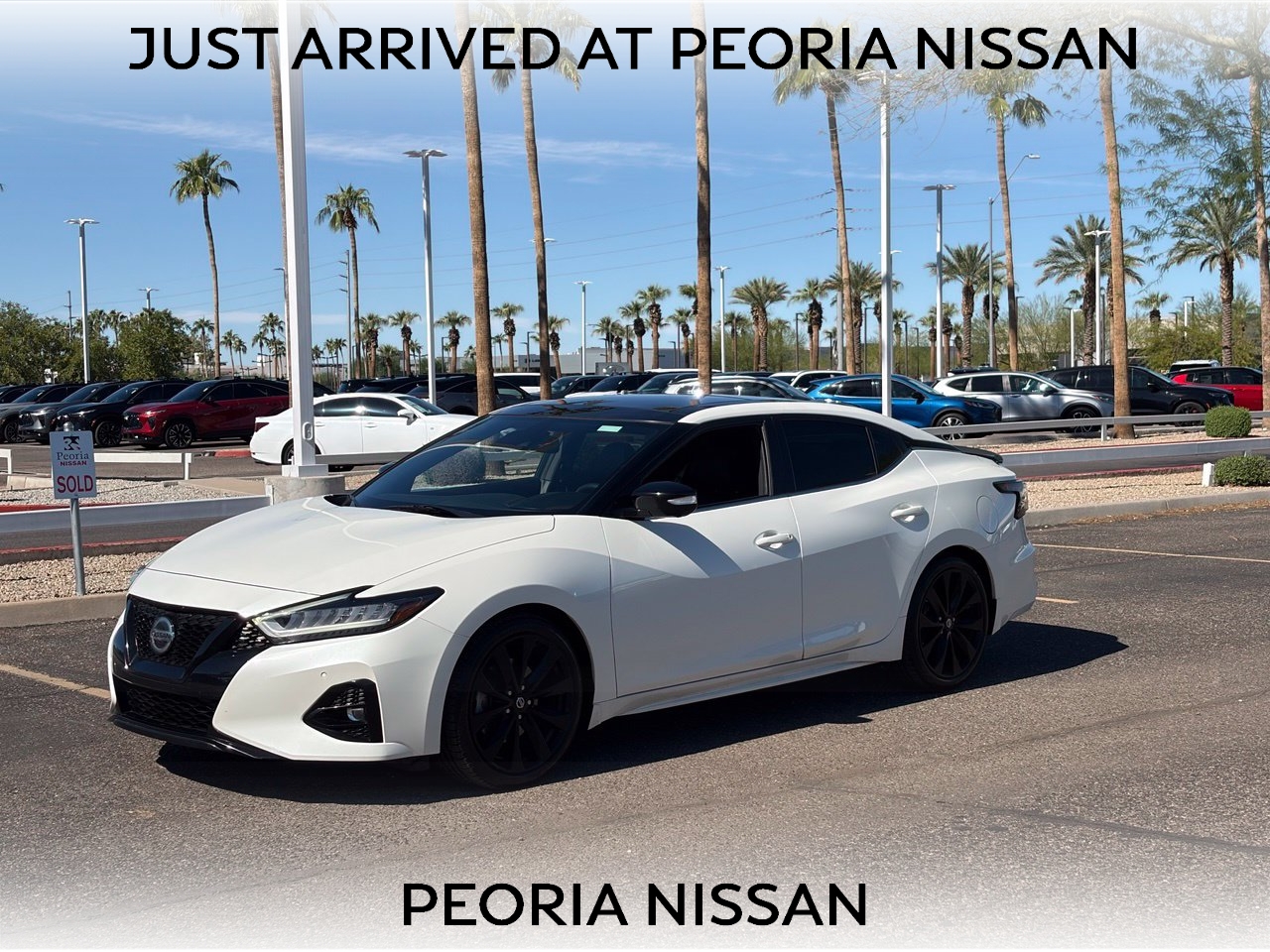 2021 Nissan Maxima SR FWD