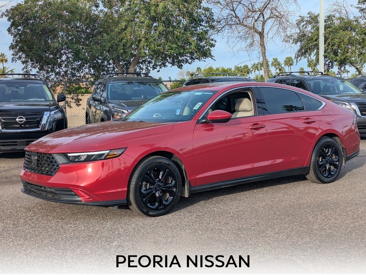 2024 Honda Accord EX's photo