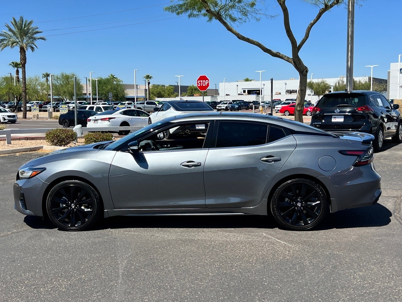 Certified 2022 Nissan Maxima SR with VIN 1N4AA6EV5NC501941 for sale in Peoria, AZ