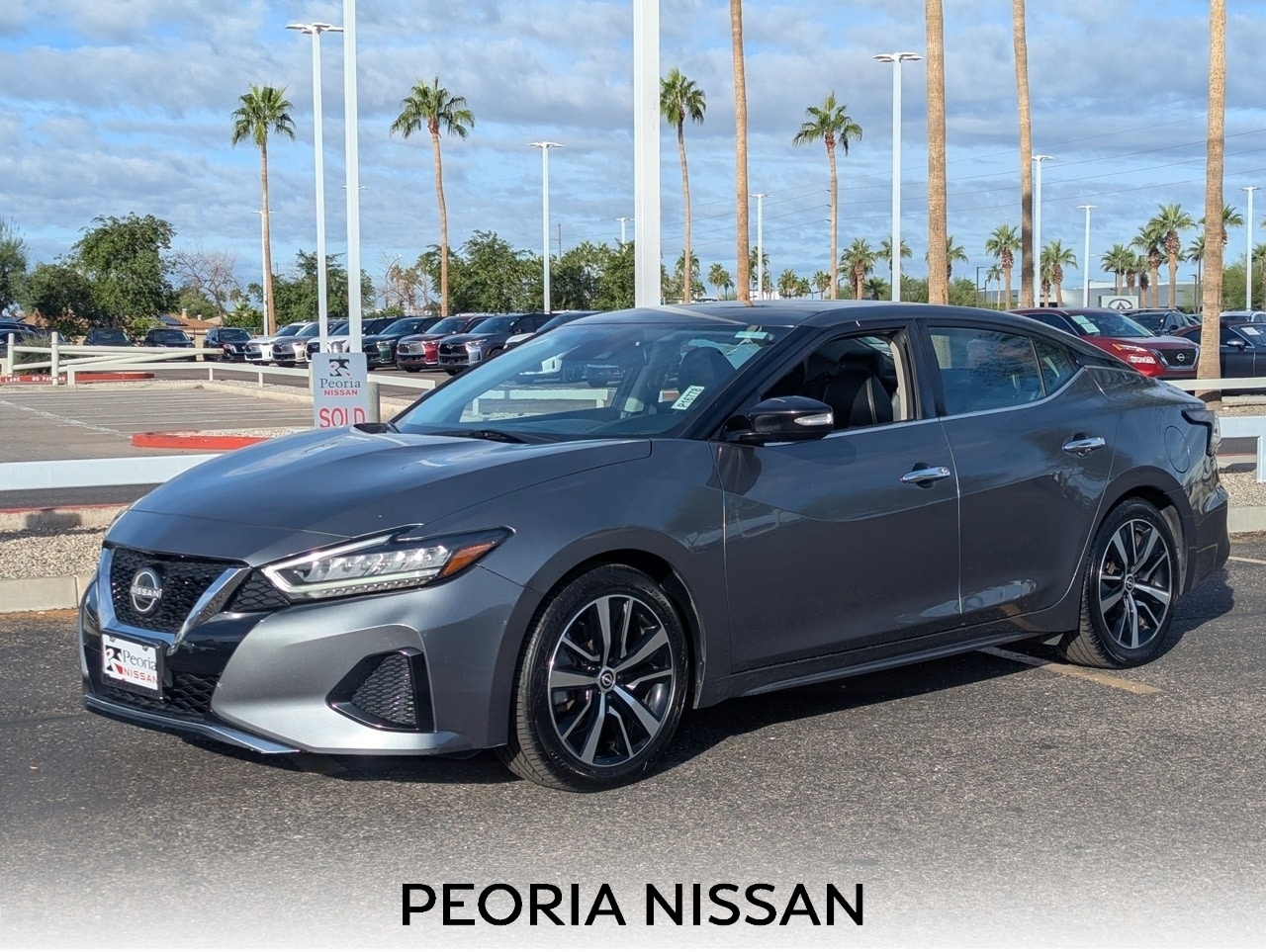 2023 Nissan Maxima Sedan 