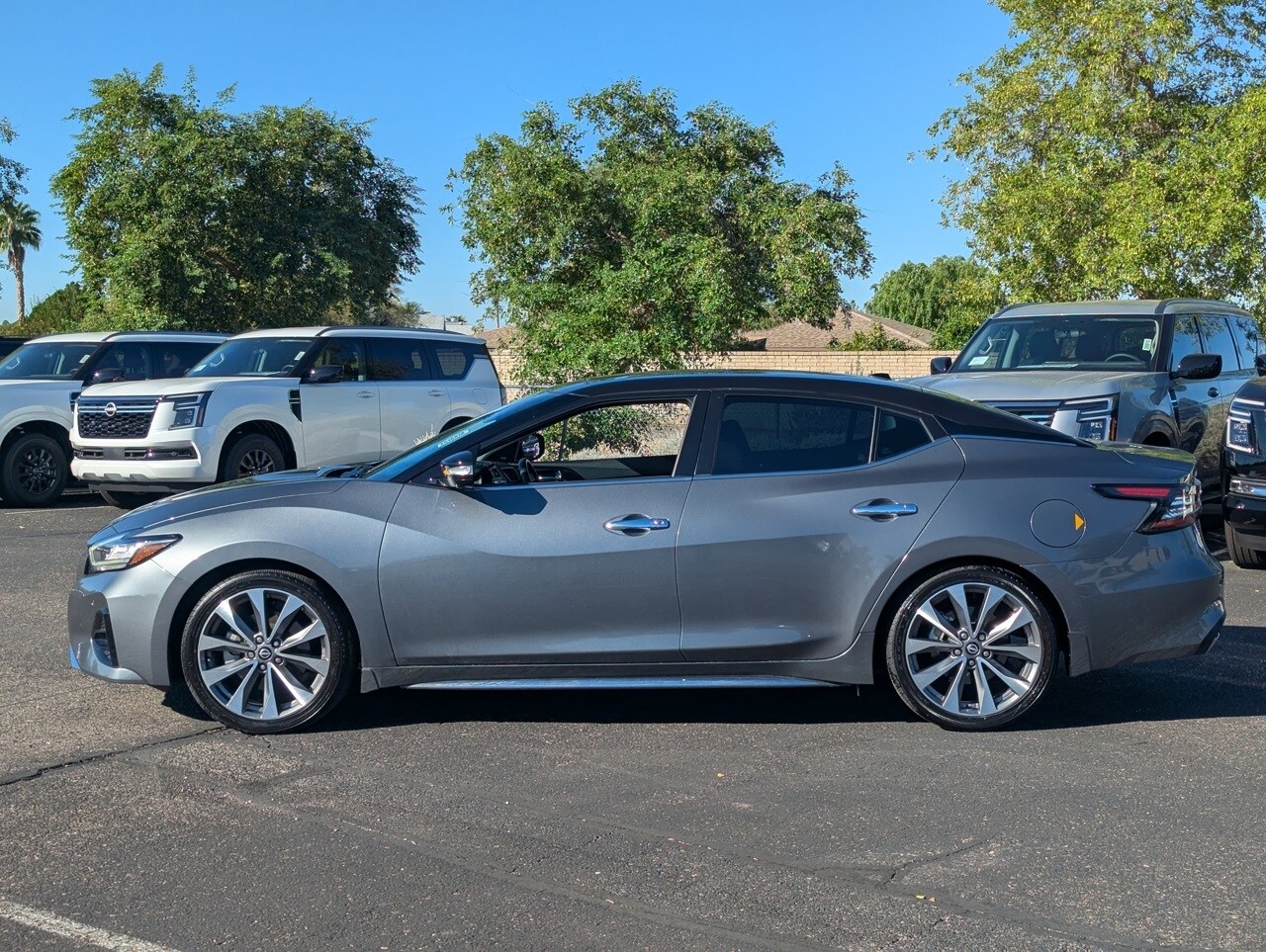 2023 Nissan Maxima Platinum photo 3