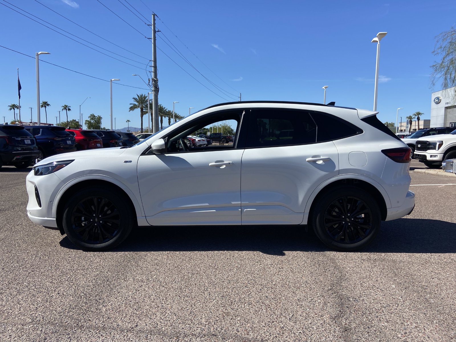 Used 2024 Ford Escape ST-Line Elite SUV