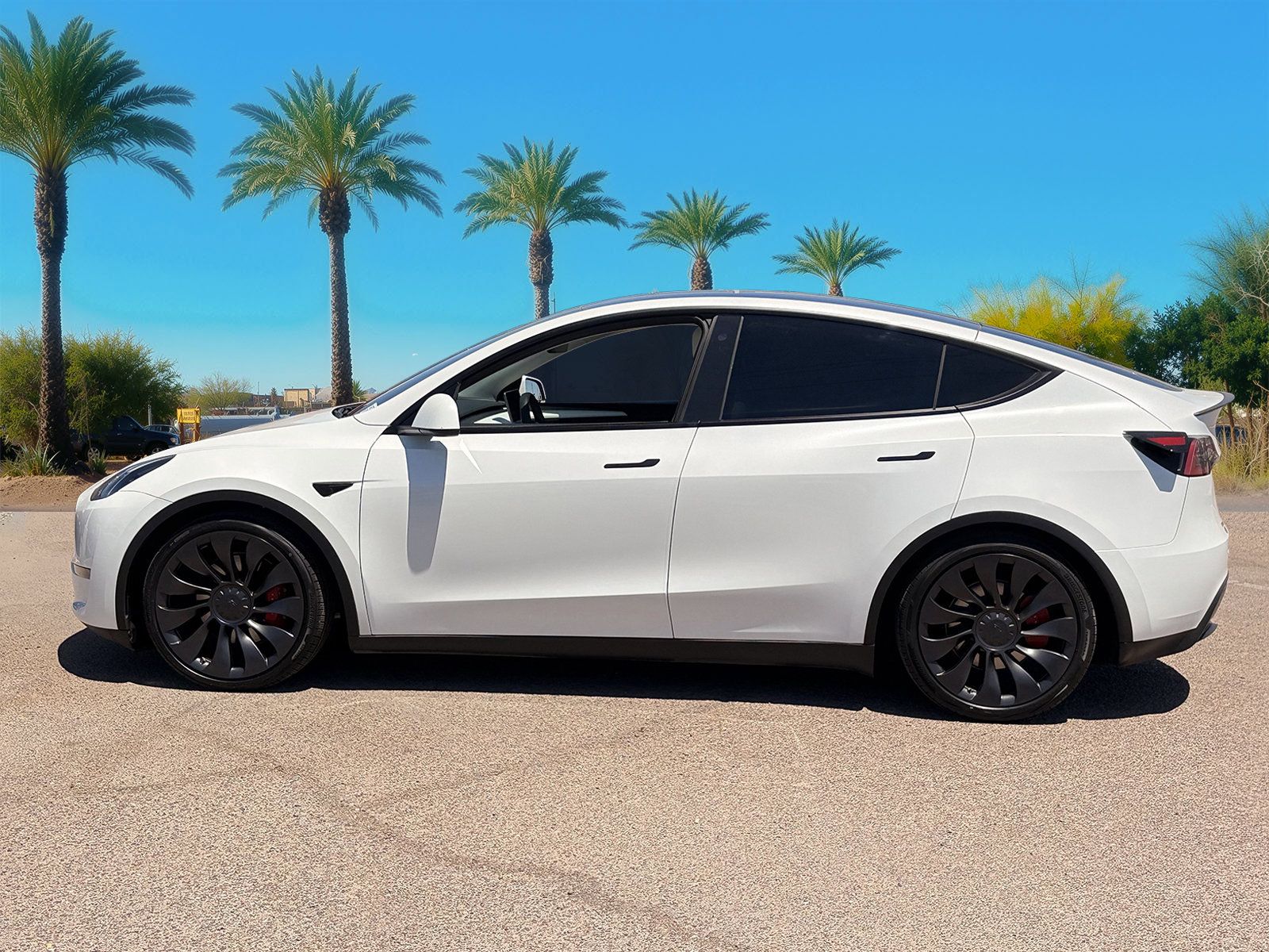 Used 2023 Tesla Model Y Performance with VIN 7SAYGDEF9PF737831 for sale in Peoria, AZ
