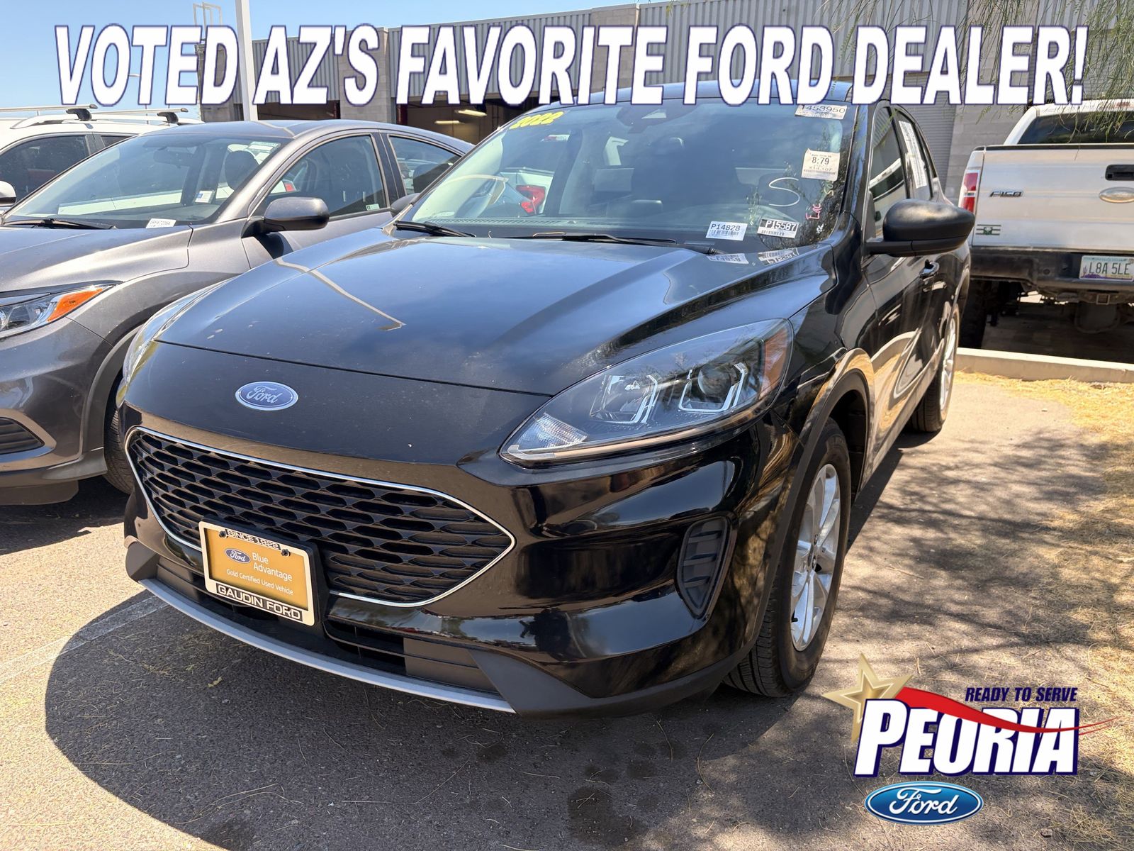 2022 Ford Escape SE FWD's photo