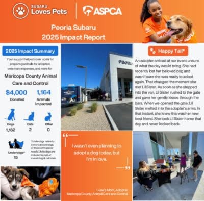 Maricopa County 2025 Impact Report