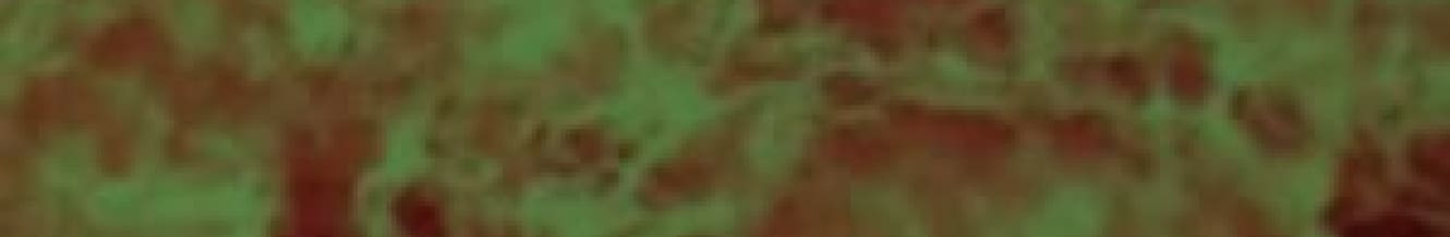 An experience OUT OF THIS WORLD - Miranda B