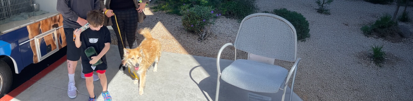 MCACC And Subaru Loves Pets Event