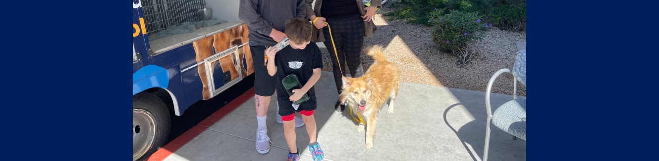 MCACC And Subaru Loves Pets Event