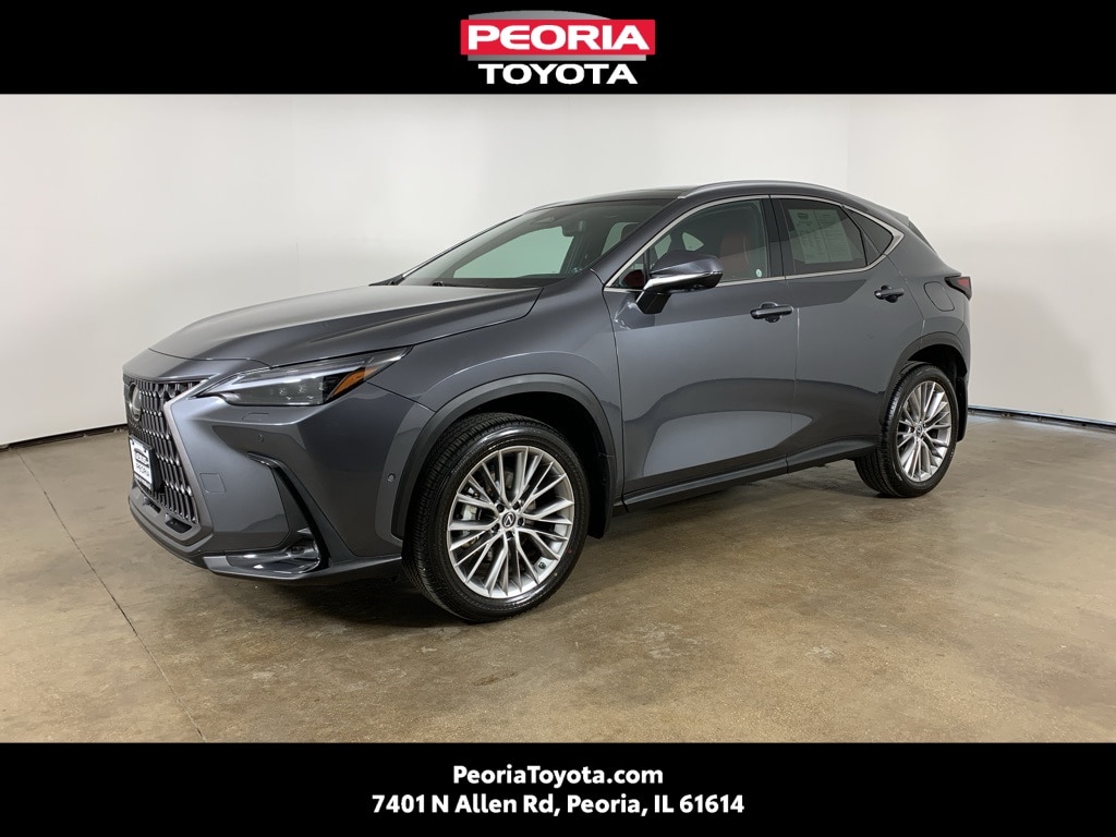 2024 Lexus NX Hybrid 350h's photo