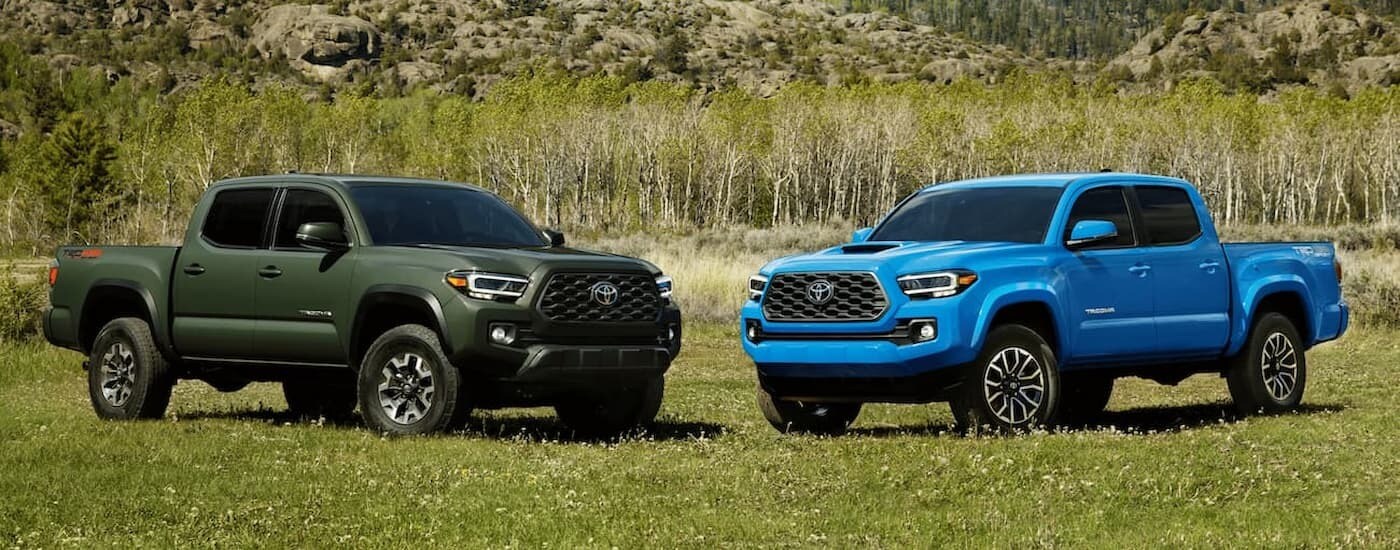 Green 2023 Toyota Tacoma parked next to a blue 2023 Toyota Tacoma