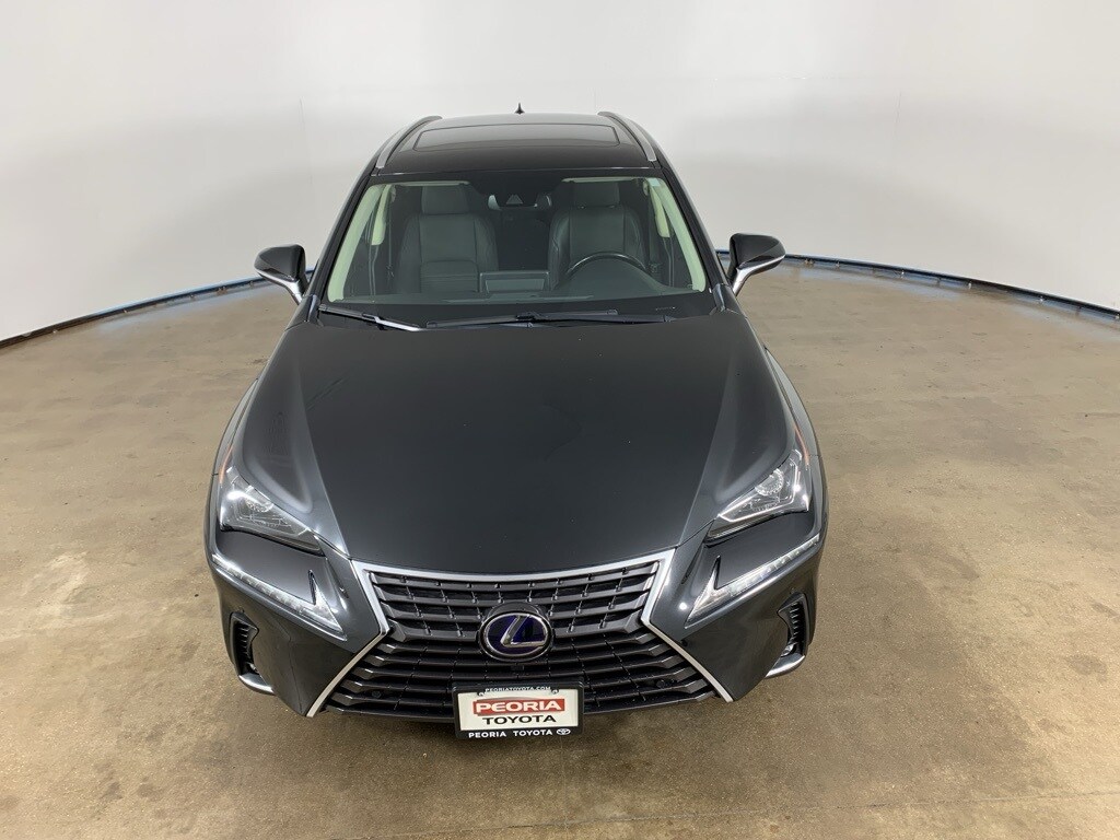 2021 Lexus NX 300h photo 4
