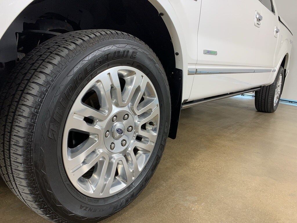 2013 Ford F-150 Platinum photo 2