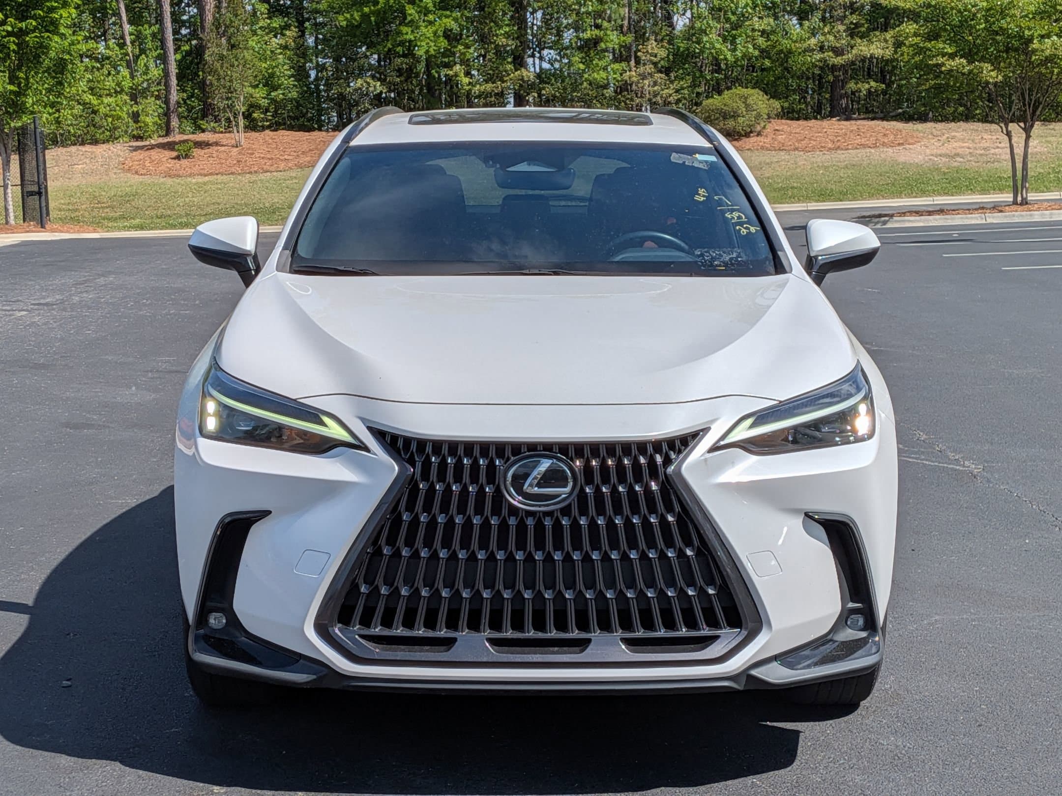 2022 LEXUS NX NX 350h photo 2