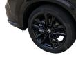 2025 Acura ADX w/A-Spec Advance Package SUV