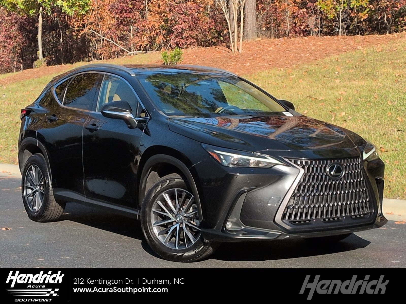 2023 Lexus NX 350's photo