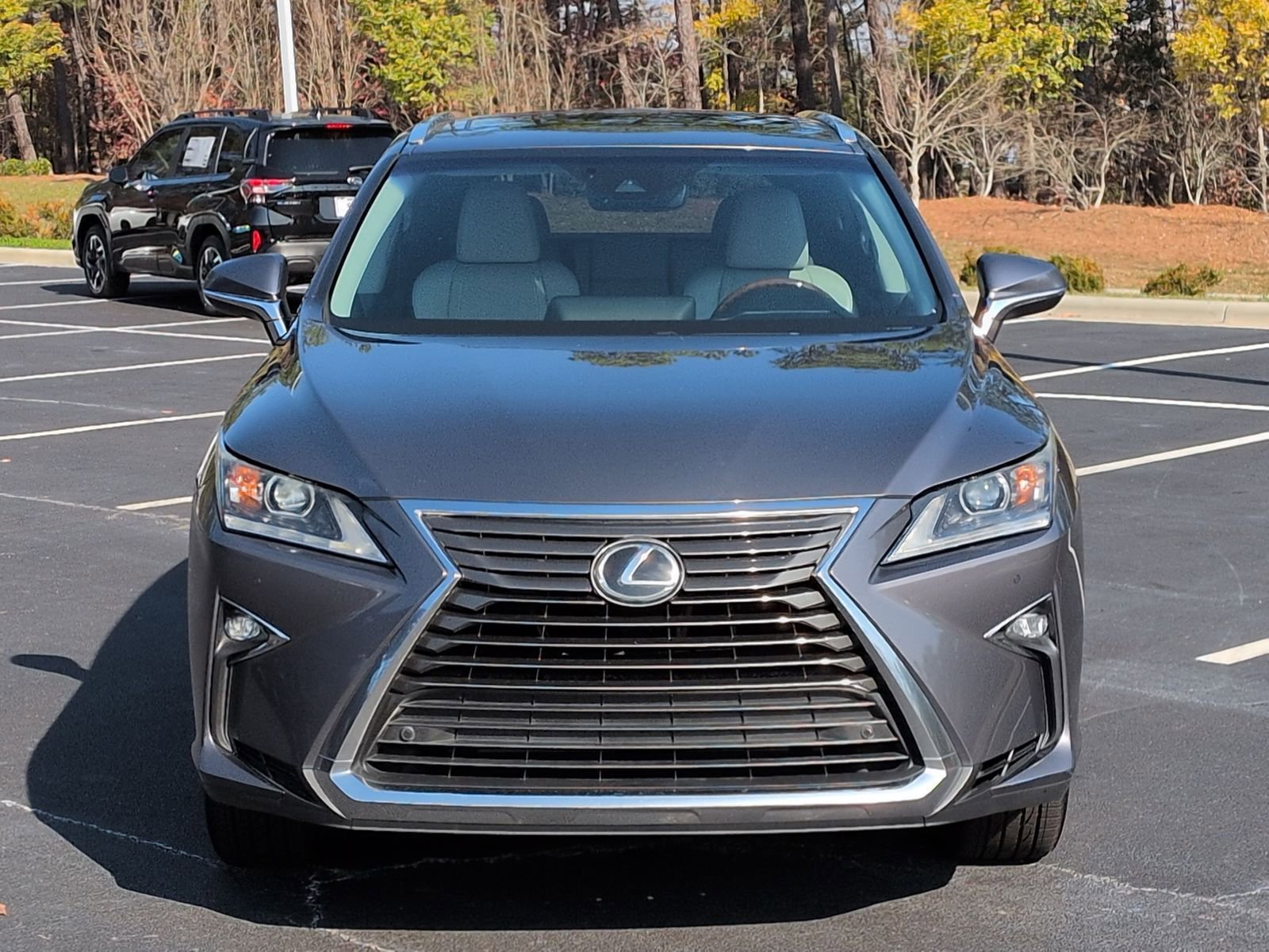 2017 Lexus RX 350 photo 2