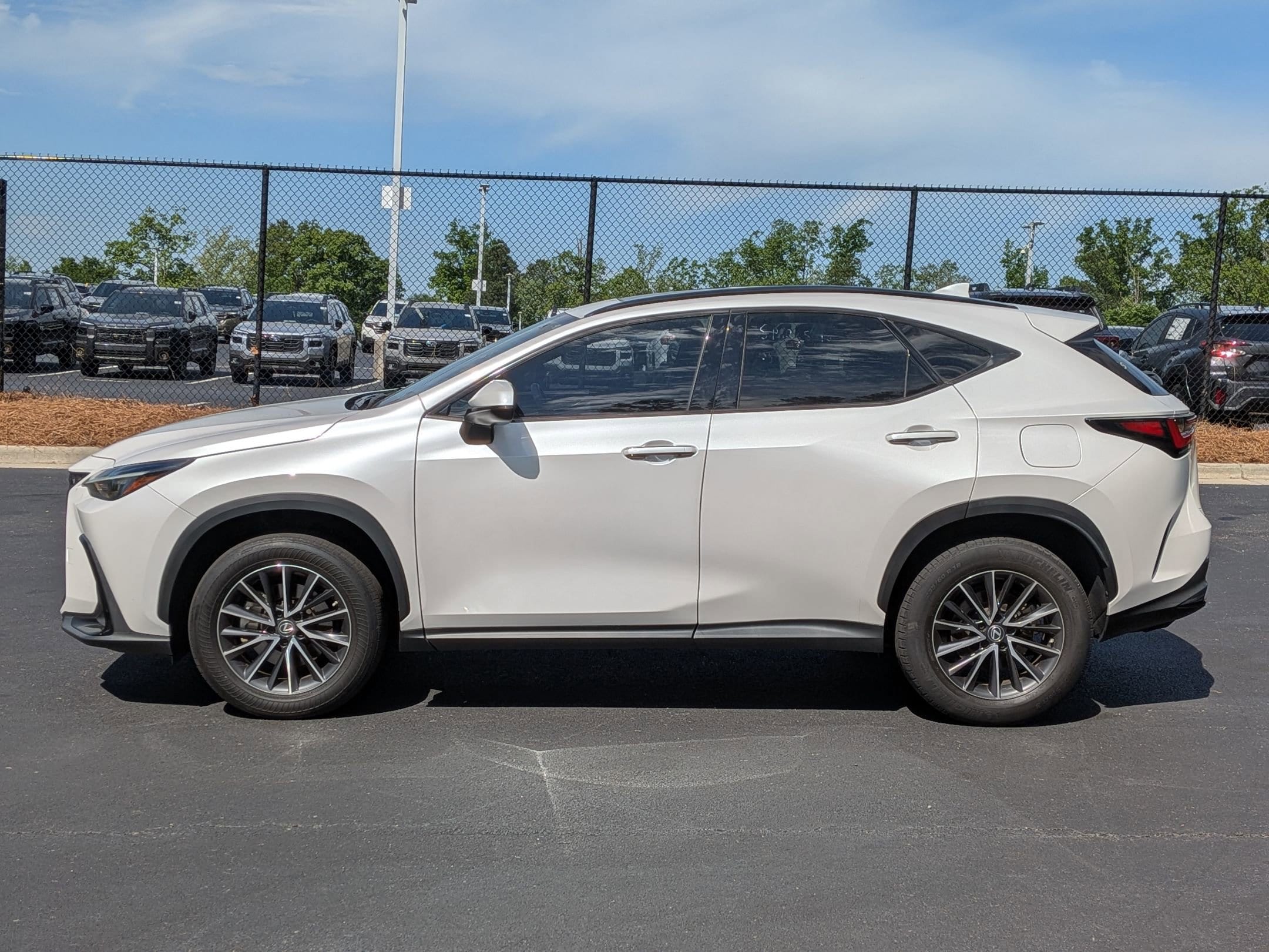 2022 LEXUS NX NX 350h photo 6