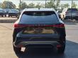2024 LEXUS RX RX 350 Premium SUV
