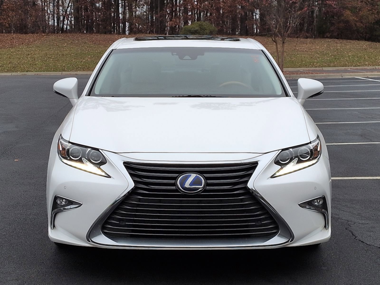 2017 Lexus ES 300h photo 3