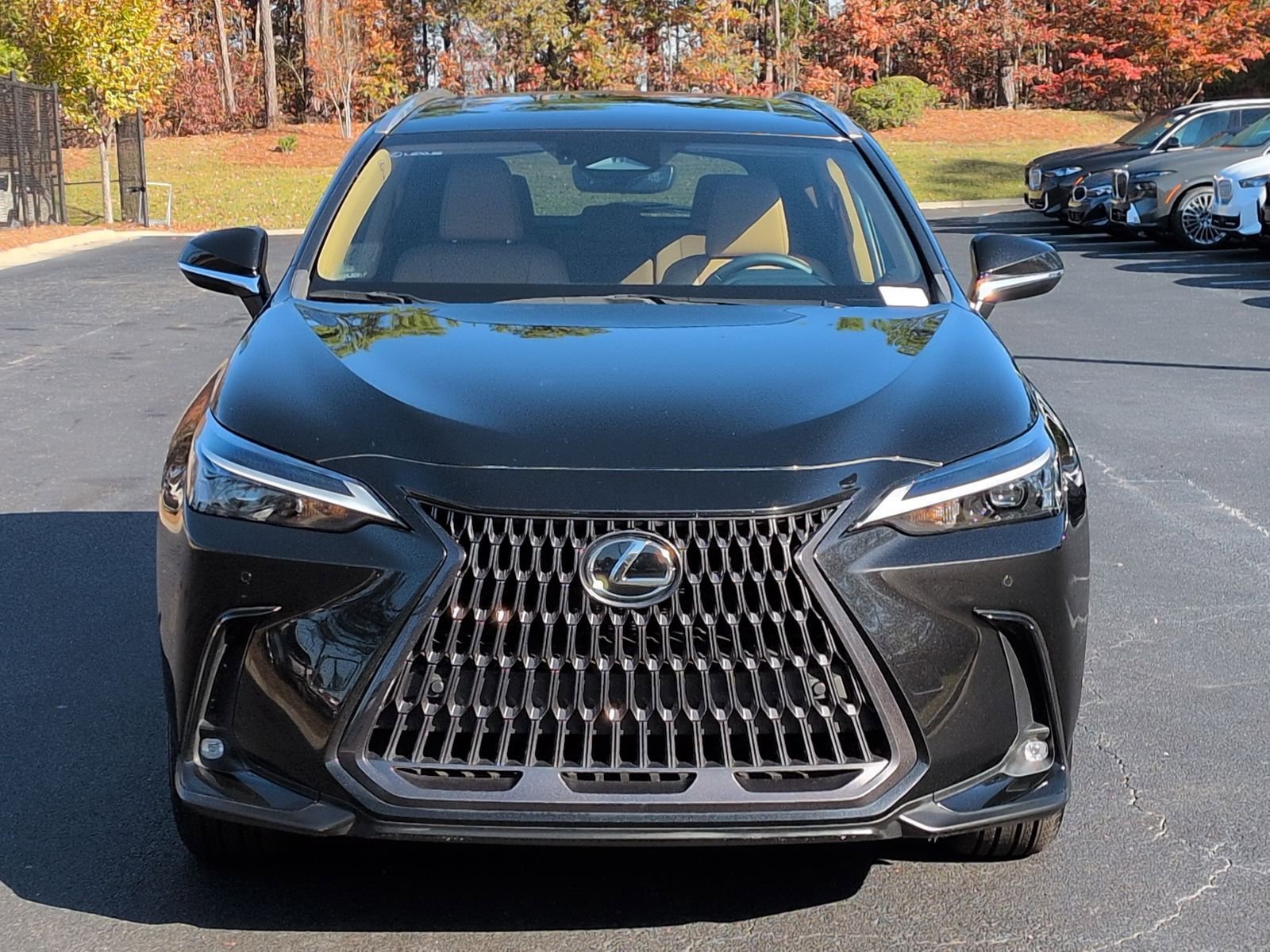 2023 Lexus NX 350 Premium photo 3