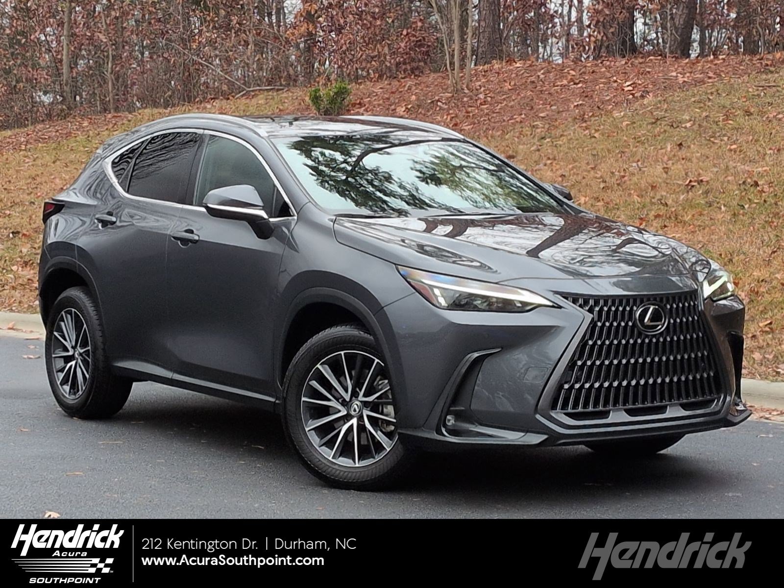 2024 Lexus NX 250's photo
