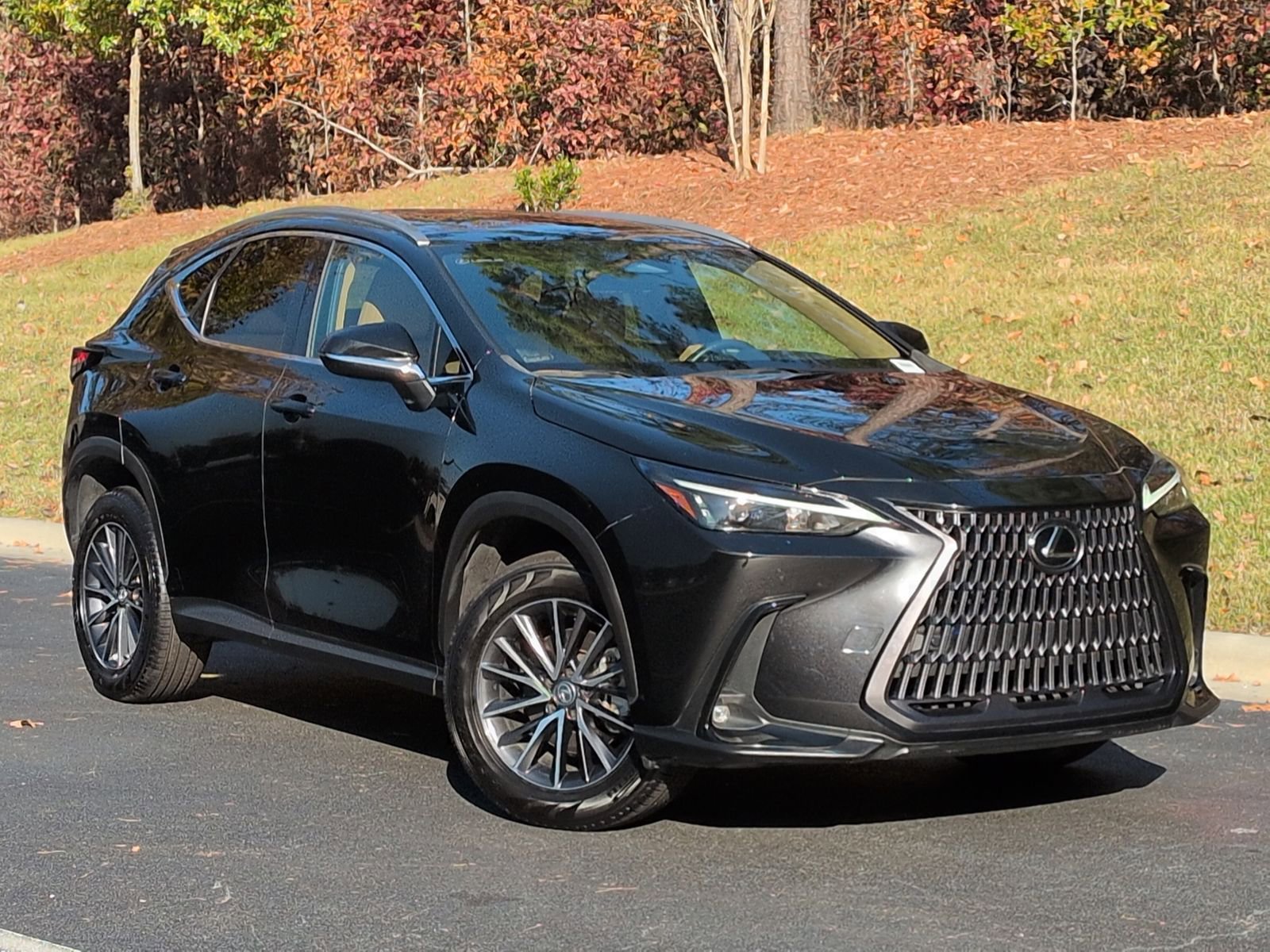 2023 Lexus NX 350 Premium photo 2