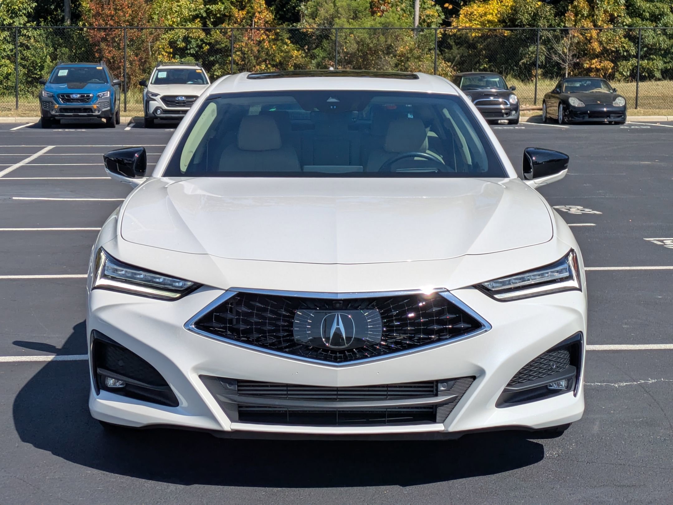 2023 Acura TLX SH-AWD Advance photo 3