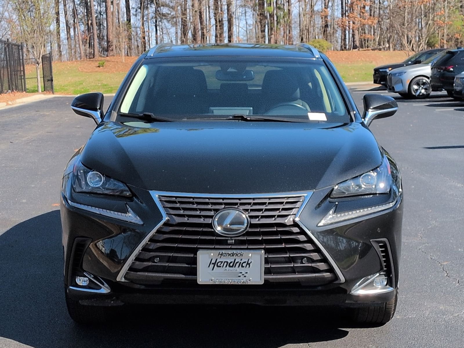 2019 LEXUS NX NX 300 photo 2