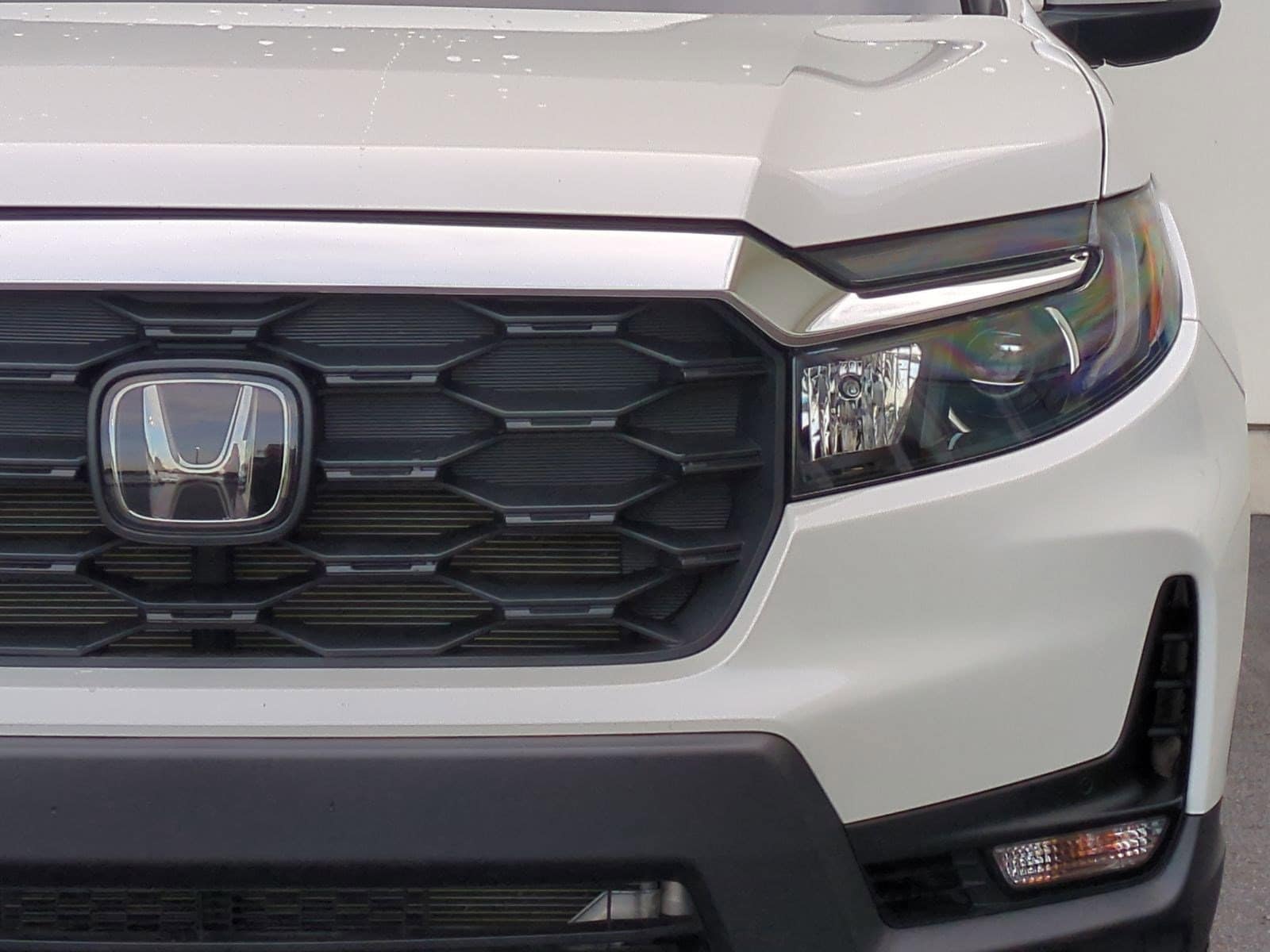 2025 Honda Passport EX-L photo 5